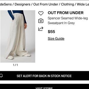 Urban Outfitters Seamed Gray Wide-Leg Pants